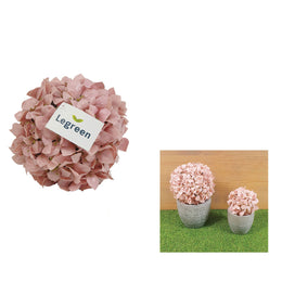 Palla Topiaria Artificiale