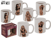 TAZZA, RAGAZZA SPOGLIARELLISTA NUDA, REAGISCE AL CALORE, 3 C