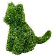 CESPUGLIO SEMPREVERDE A FORMA DI GATTO MISURA S