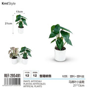 PIANTE ARTIFICIALI 21*13
