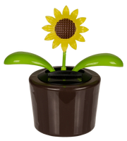 FIORE CON MOVIMENTO PANN SOLARE