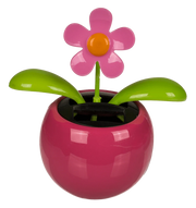 FIORE CON MOVIMENTO PANN SOLARE