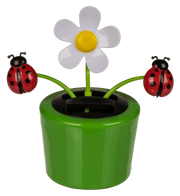 FIORE CON MOVIMENTO PANN SOLARE