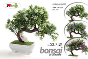 BONSAI ASS. 23*7*24