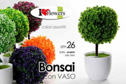 PIANTINA BONSAI ASS 26CM