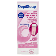DS.RICAR. CERA PELLI SENS