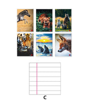 10 PZ Quaderno 80GR Rigatura C Per Quarta Quinta Elementare