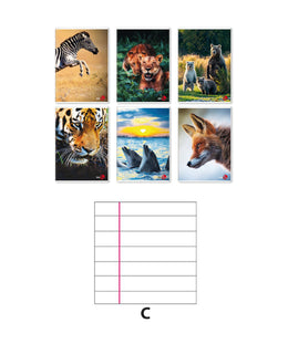 10 PZ Quaderno 80GR Rigatura C Per Quarta Quinta Elementare