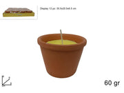 CITRONELLA 60 GR IN VASO COCCIO IN DISPLAY