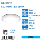 PLAFONIERA A LED-12W-6500K-1300 LM-PLASTICA,FERRO