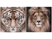 TELA LUCIDA ANIMALI 2 SURT 40X40X1.8 CM