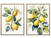 TELA CON TELA FRUTTA 2 SURT 30X40X2,5 CM