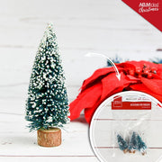 ACCESSORI PRESEPE