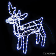 TUBO LUMINOSO RENNA 6 MT CON MOVIMENTO 30X61X55 CM