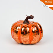 ZUCCA CM.10X7