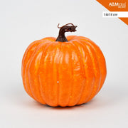 ZUCCA CM.14X14