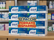 TENDERLY FAZZOLETTI CAREZZA 12 PACCHI