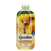 COCC.AMM.CONC.RAGGIO SOLE LV42