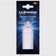 LUMINO RICAMBIO FIAMMA DOMINI 365 GG