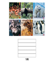 10 PZ Quaderno 80GR Rigatura 1R Per Medie Superiori