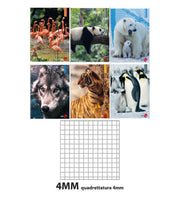 10 PZ Quaderno 80GR Quadrettatura 4mm Per Medie Superiori