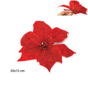 Poinsettia Con Pinzetta